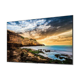 Samsung QE55T Direct-Lit 4K Crystal UHD LED Display for Business, 55 Inch