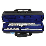 Reunion Blues RBX-FLT RBX Flute Case