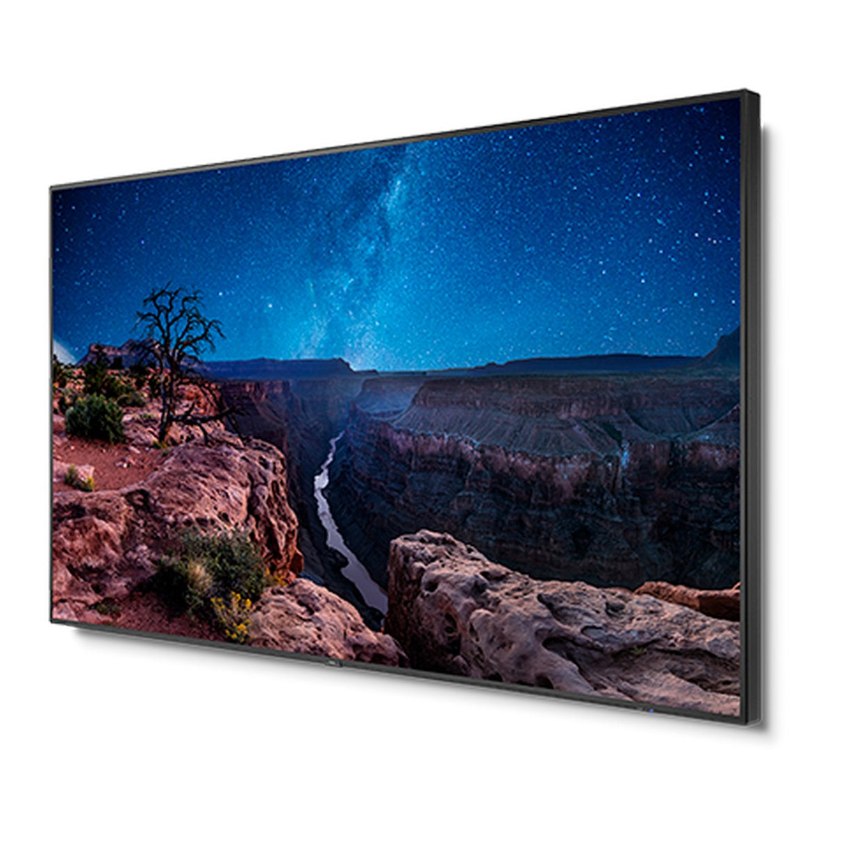 NEC V984Q 98 Inch UHD Professional Display