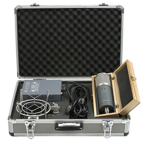 sE Electronics Z5600a II | Multi-Pattern Condenser Tube Microphone