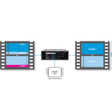 AJA UDC-4K Mini-Converter