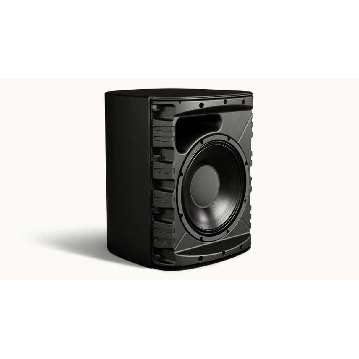 Bose Professional DesignMax DM12SE 12-Inch Surface-Mount Loudspeaker