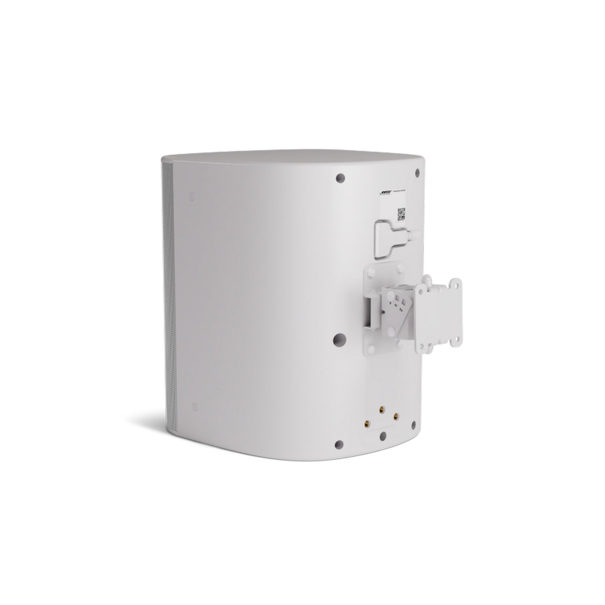 Bose Professional DesignMax DM12SE 12-Inch Surface-Mount Loudspeaker