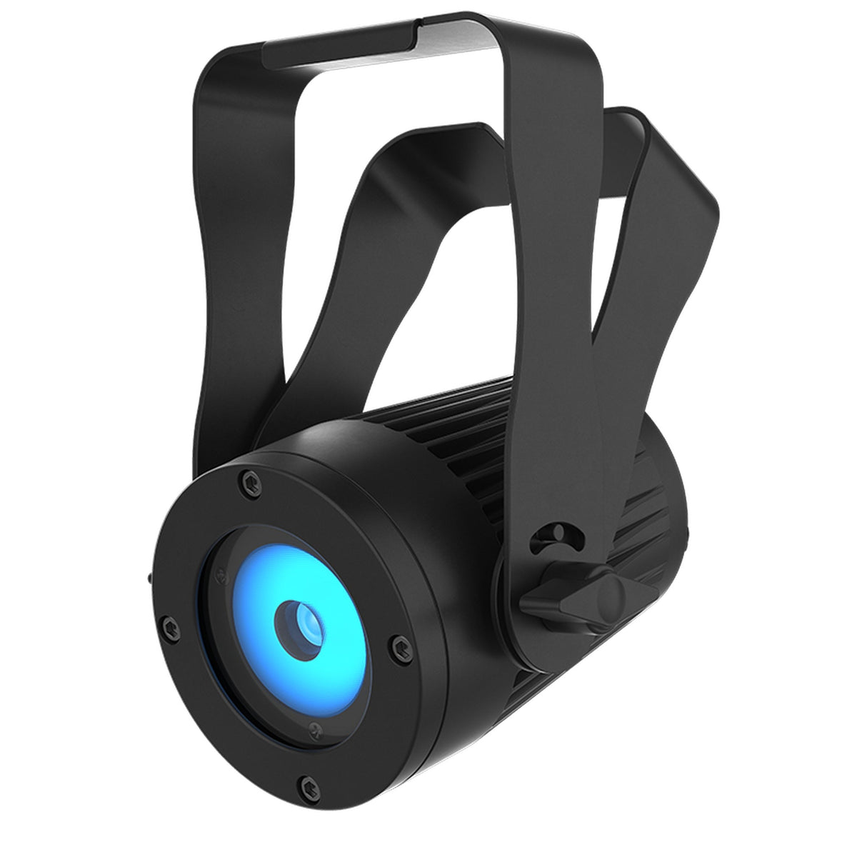 Chauvet Professional COLORdash Accent 5X IP LED Wash Light