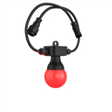 Chauvet DJ Festoon 2 RGB Décor String Lighting System