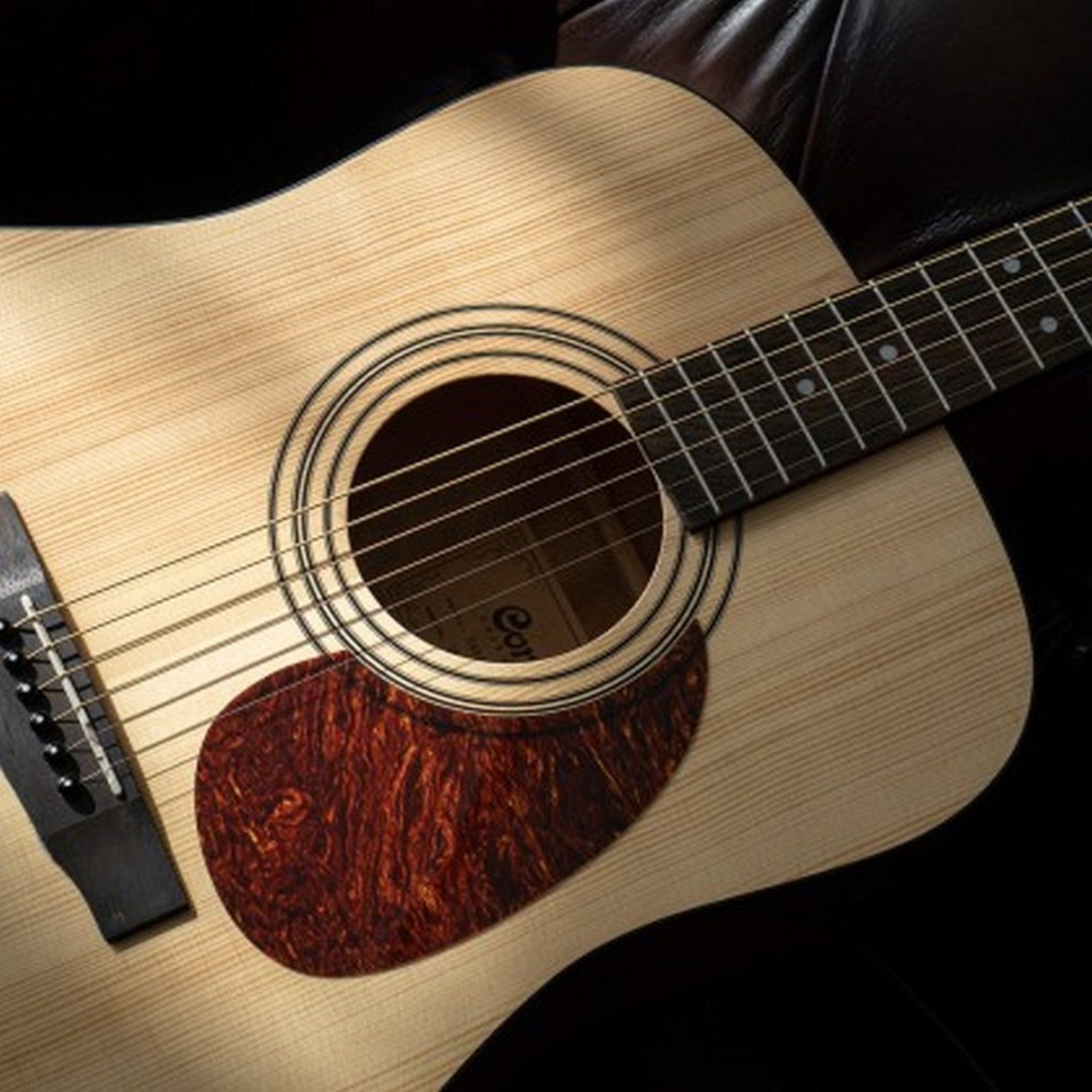 Cort Earth Series Acoustic Guitar Starter Pack