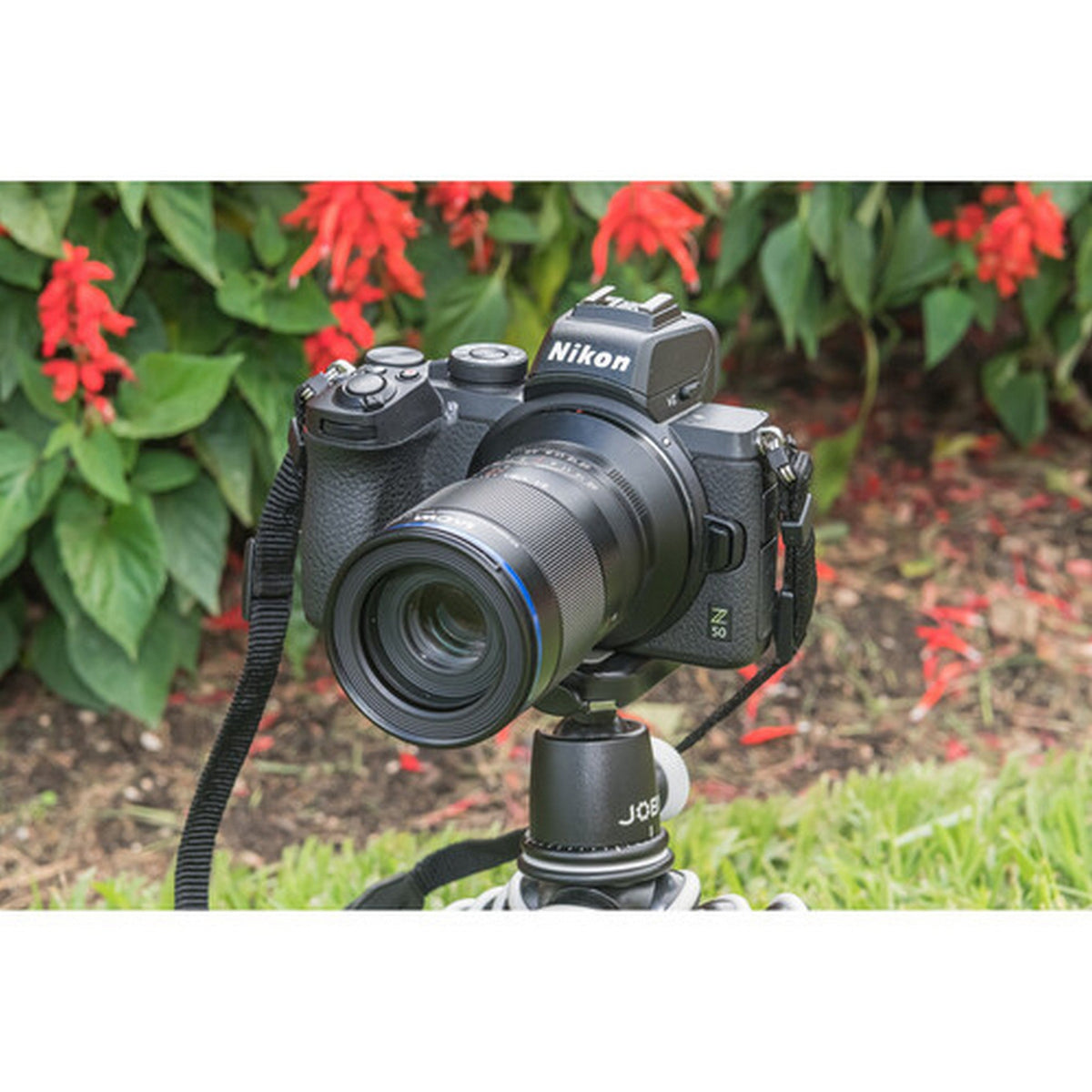 Venus Optics Laowa 65mm f/2.8 2x Ultra Macro APO Lens Mount