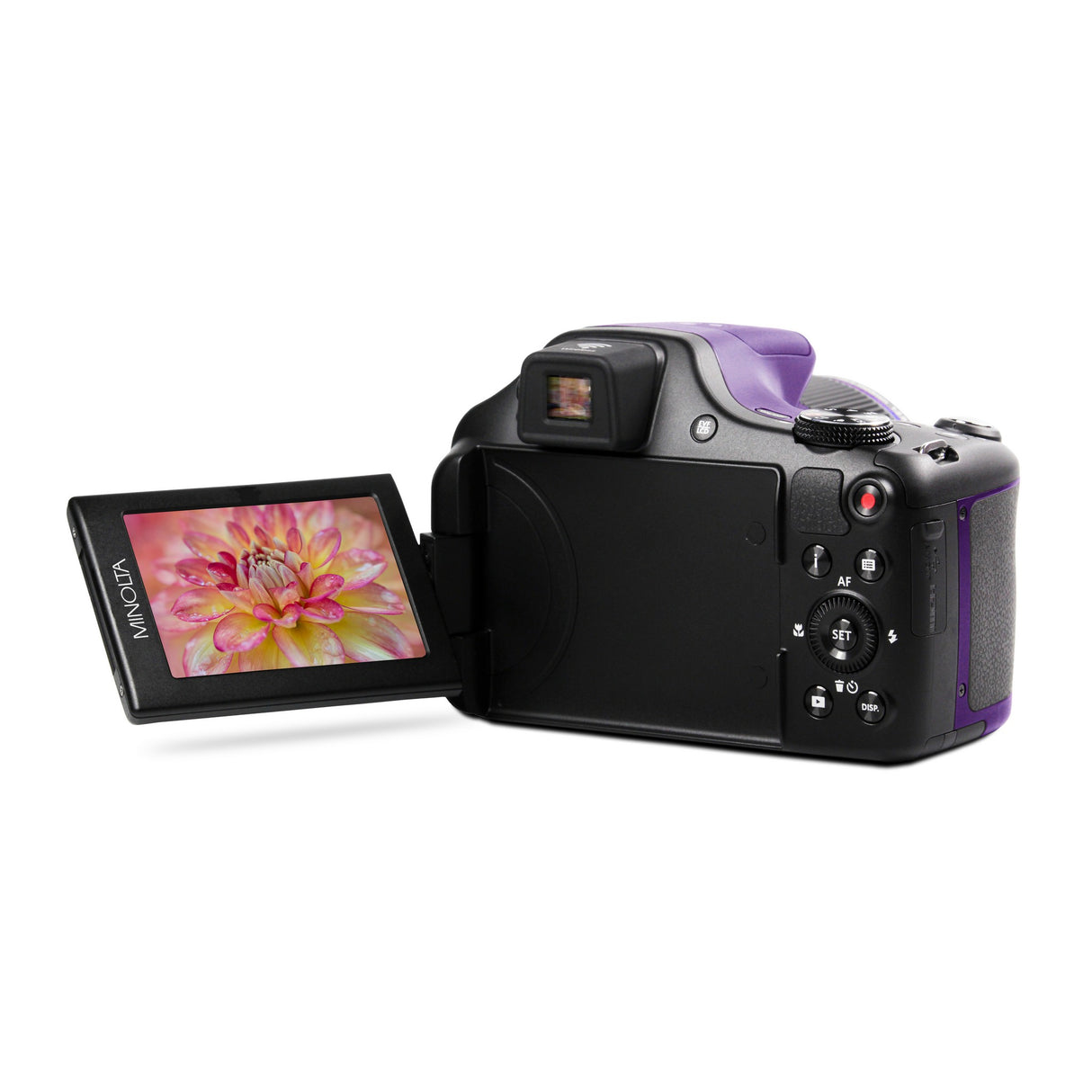 Minolta MN67Z 20 MP 1080p HD Bridge Digital Camera with 67x Optical Zoom, Purple