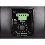 Pure Resonance Audio Outdoor Speaker System with 2 S5 Weather-Resistant Speakers and RMA120BT 120W Bluetooth Mixer Amplifier