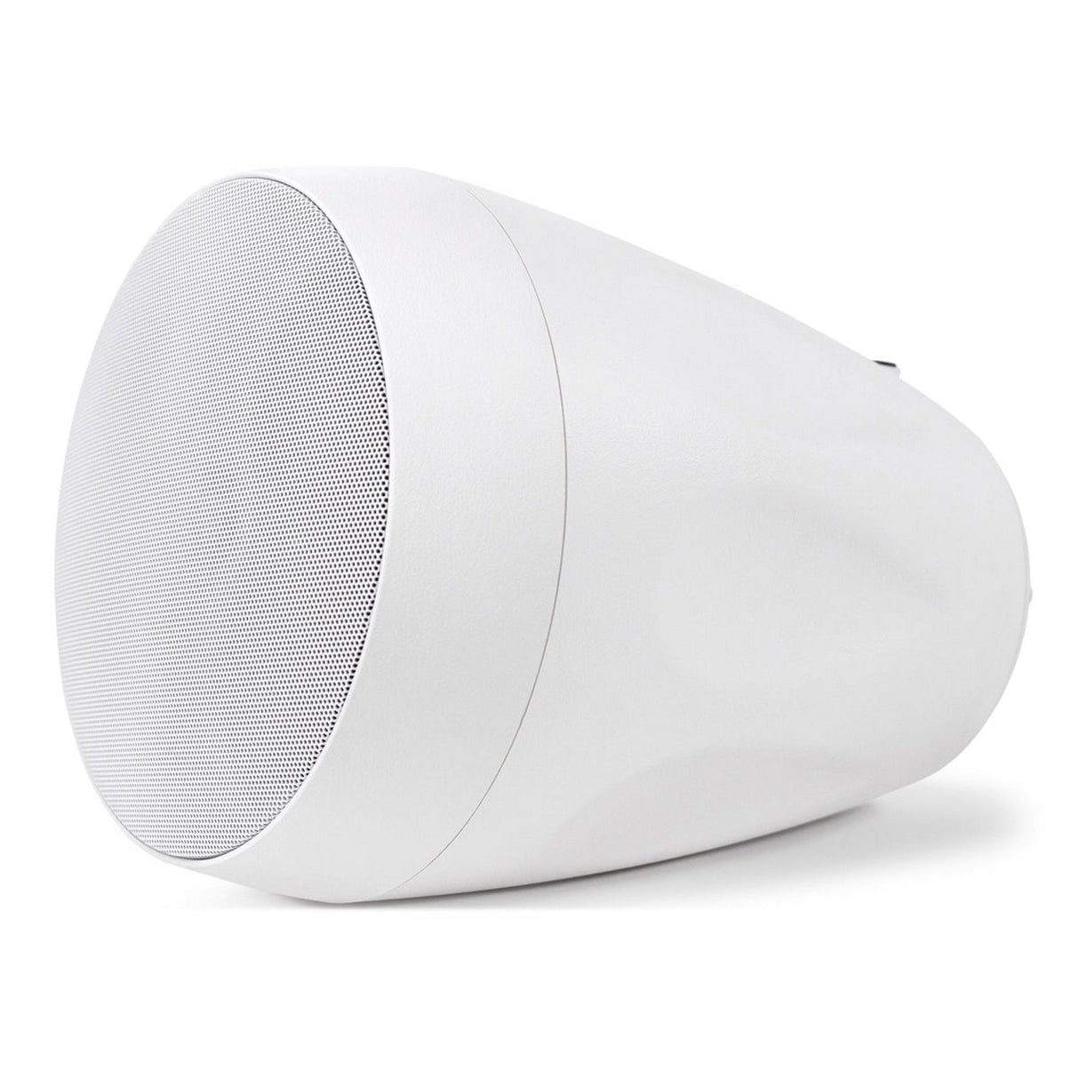 Pure Resonance Audio PD6 Series 6.5-Inch Pendant-Mount Speaker