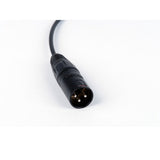 Remote Audio CASENEK100ST 3.5mm Locking TRS to XLR3M Pin 3 Hot for Sennheiser