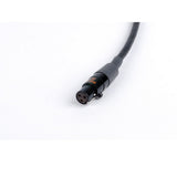 Remote Audio CAT3FX3M24 TA3F to XLR3M Balanced Adapter Cable 2 ft