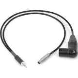 Remote Audio CAZERXALEXA Zaxcom ERX to Arri Alexa Breakout Lemo/XLR5M 18 in