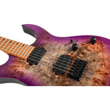 Spira Guitars S 450 Series Electric Guitar