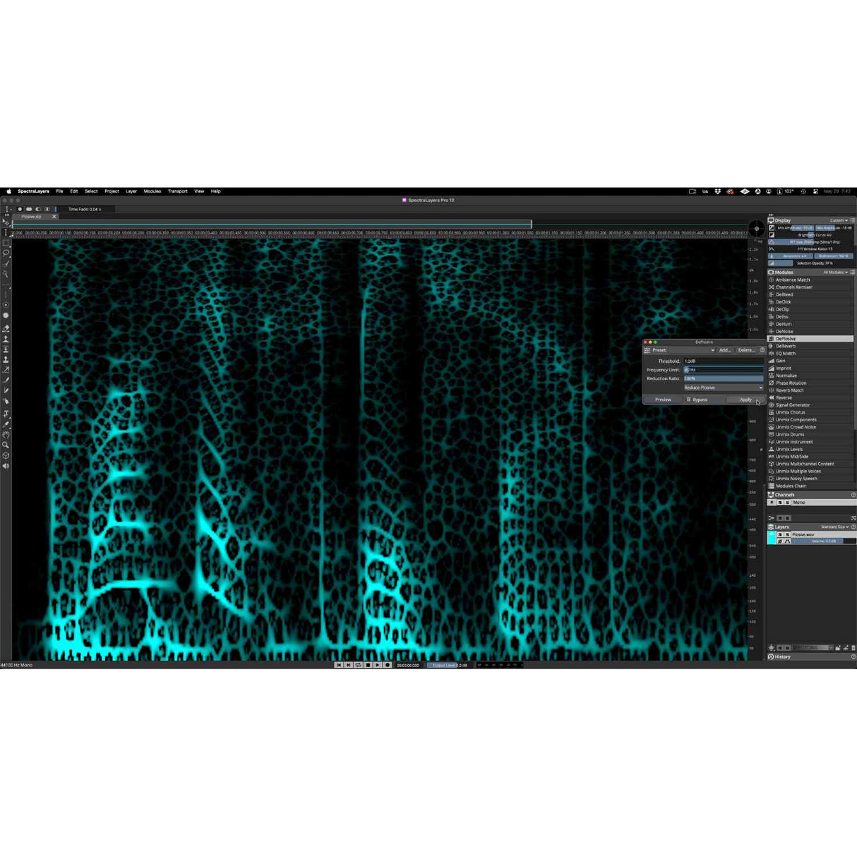 Steinberg SpectraLayers Pro 12 Educational Edition Spectral Audio Editing Software