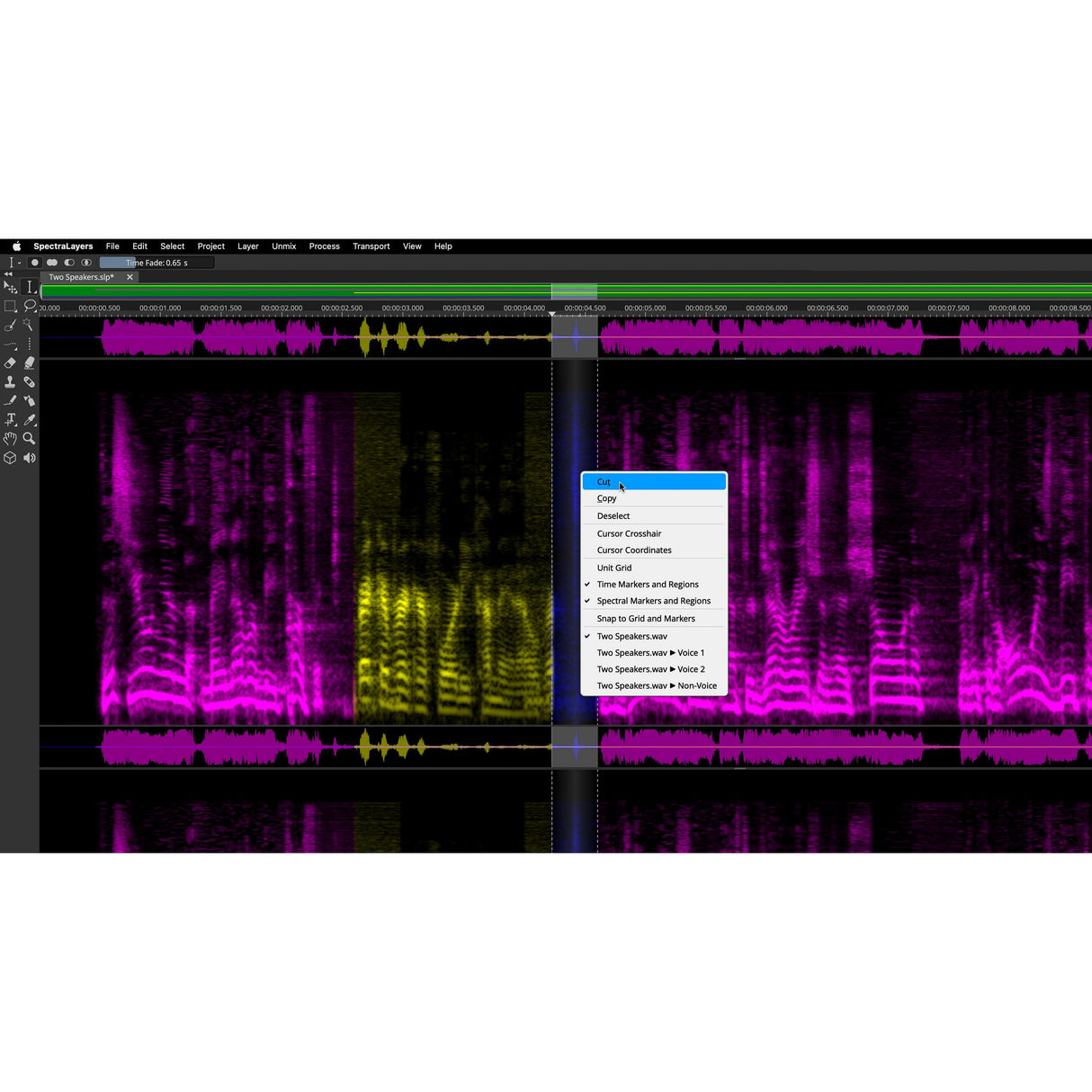 Steinberg SpectraLayers Pro 10 Advanced Audio Spectrum Editor, Download Only