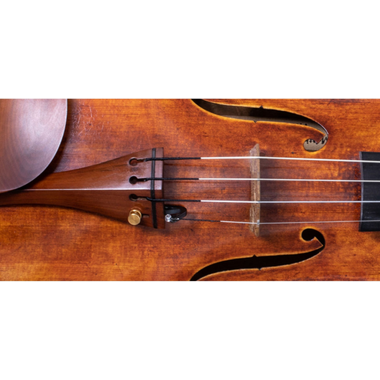 Thomastik-Infeld Dynamo Violin G Strings