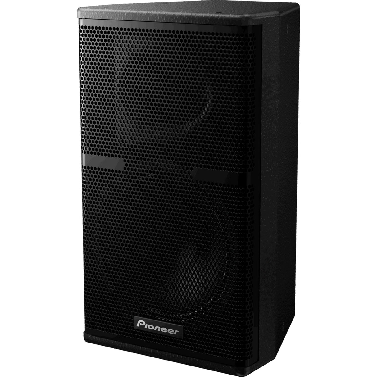 Pioneer Pro Audio XY-101 10-Inch Two-Way Full-Range Loudspeaker, Black