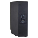 Peavey SP 2 1000-Watt 2-Way PA Speaker