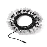 Twinkly Pro S14 Plus Bulbs Decoration Lighting Wire 65.6-Feet Long 40-Bulbs Black Wire