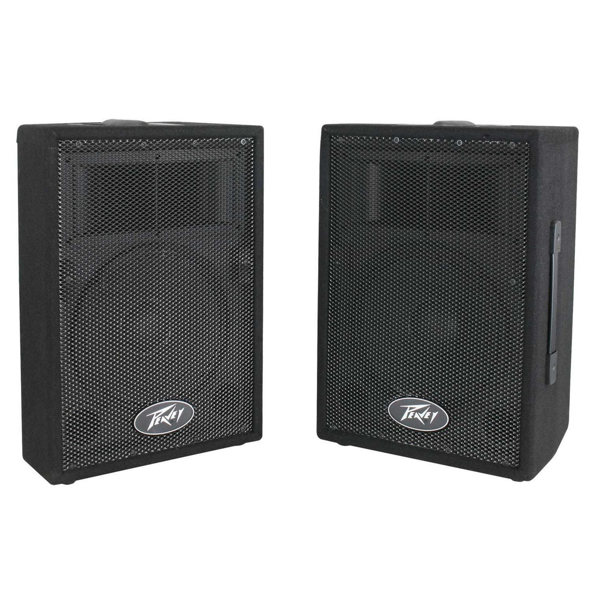 Peavey PVi 10 2-Way Speaker, Pair