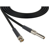 Laird MVP-BNC-BK24 Canare L-4CFB Mid-Size Patch Plug Male Mini-WECO Patch Cable 2-Foot