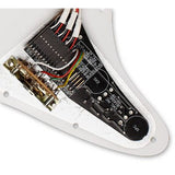 EMG DG20 David Gilmour Guitar Pickguard