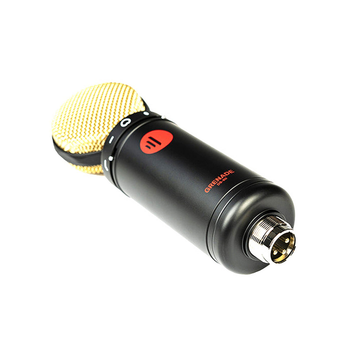 Direct Sound DS-60 Large Diaphragm Condenser Microphone