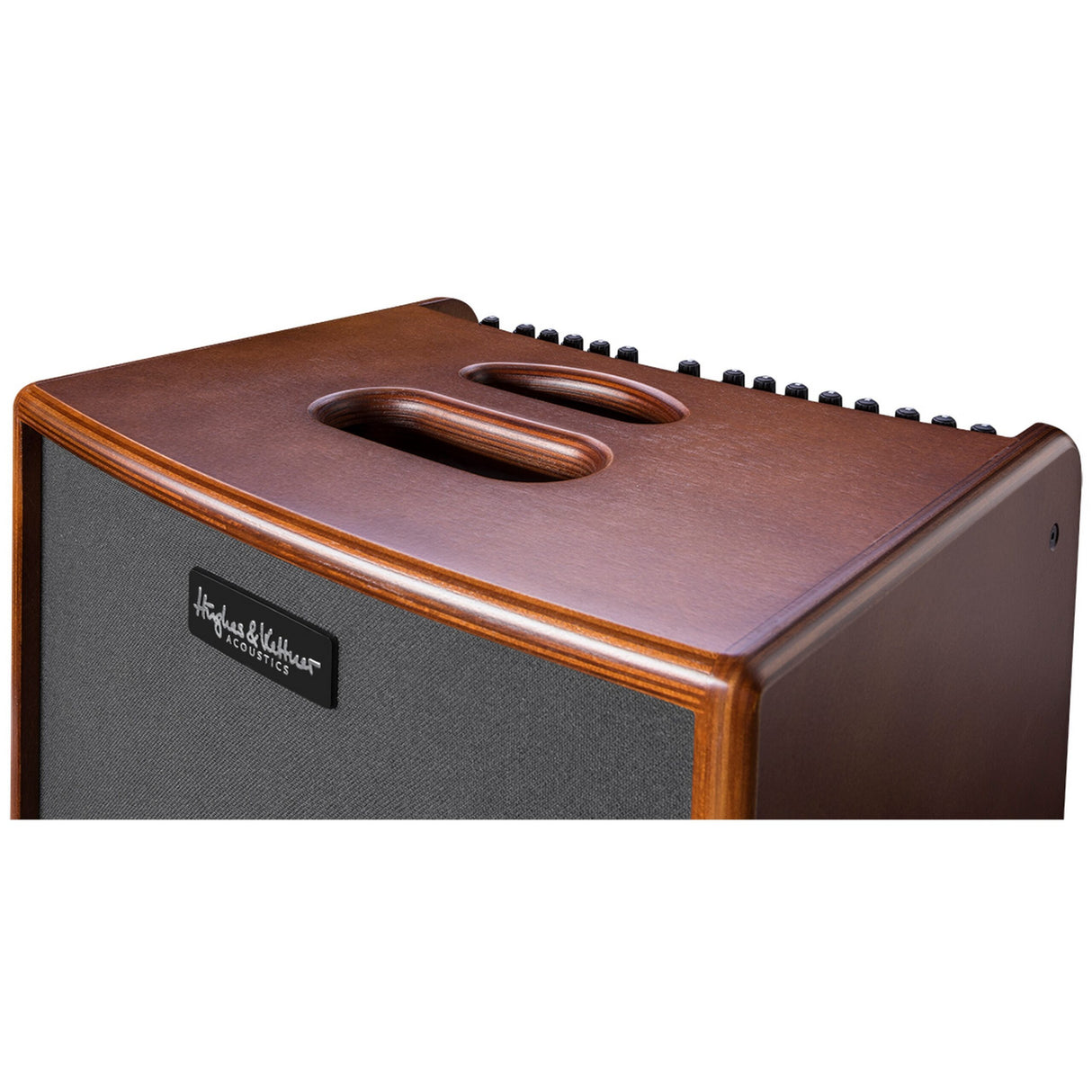 Hughes & Kettner ERA 1 250-Watt Acoustic Combo Guitar Amplifier, Wood