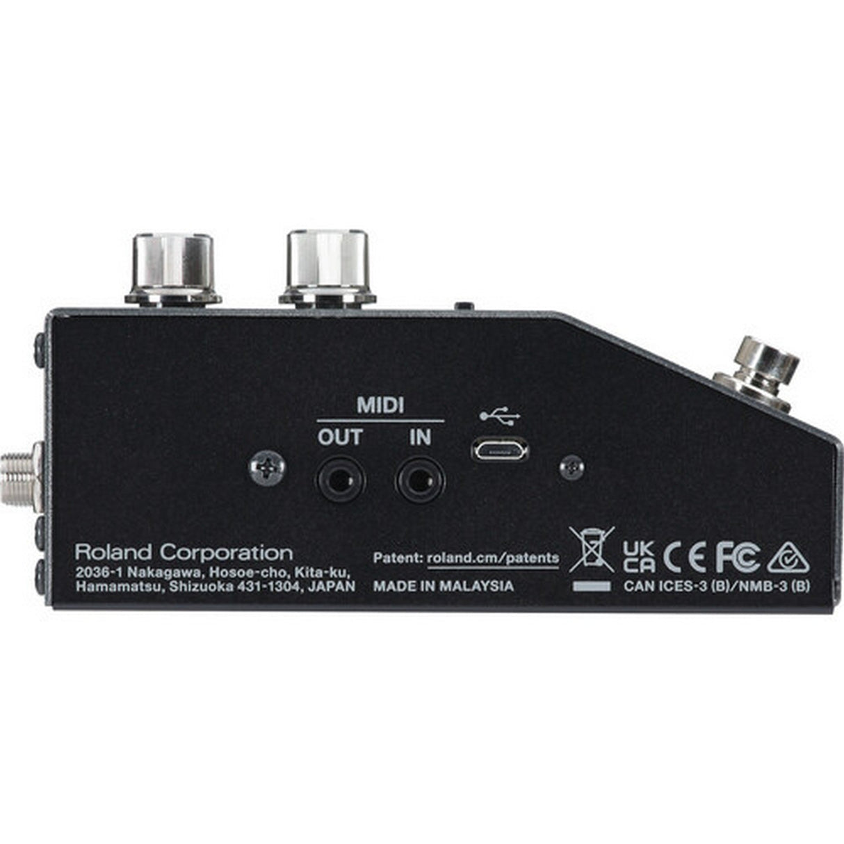 BOSS RV-200 Reverb Pedal