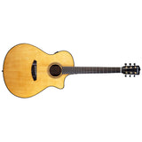 Breedlove Performer Pro Dreadnought Concerto Aged Toner CE European-African Mahogany