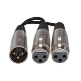 Hosa YXF-119 XLR Male to 2x XLR Female Y-Cable, 6-Inch