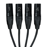 SoundTools CTMFX CAT Tails 2-Male XLR and 2-Female XLR Breakout Tails to Female etherCON, 24-Inch