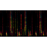 Steinberg SpectraLayers Pro 12 Competitive Crossgrade Spectral Audio Editing Software