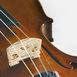 Stentor 1500 Student II Violin Outfit