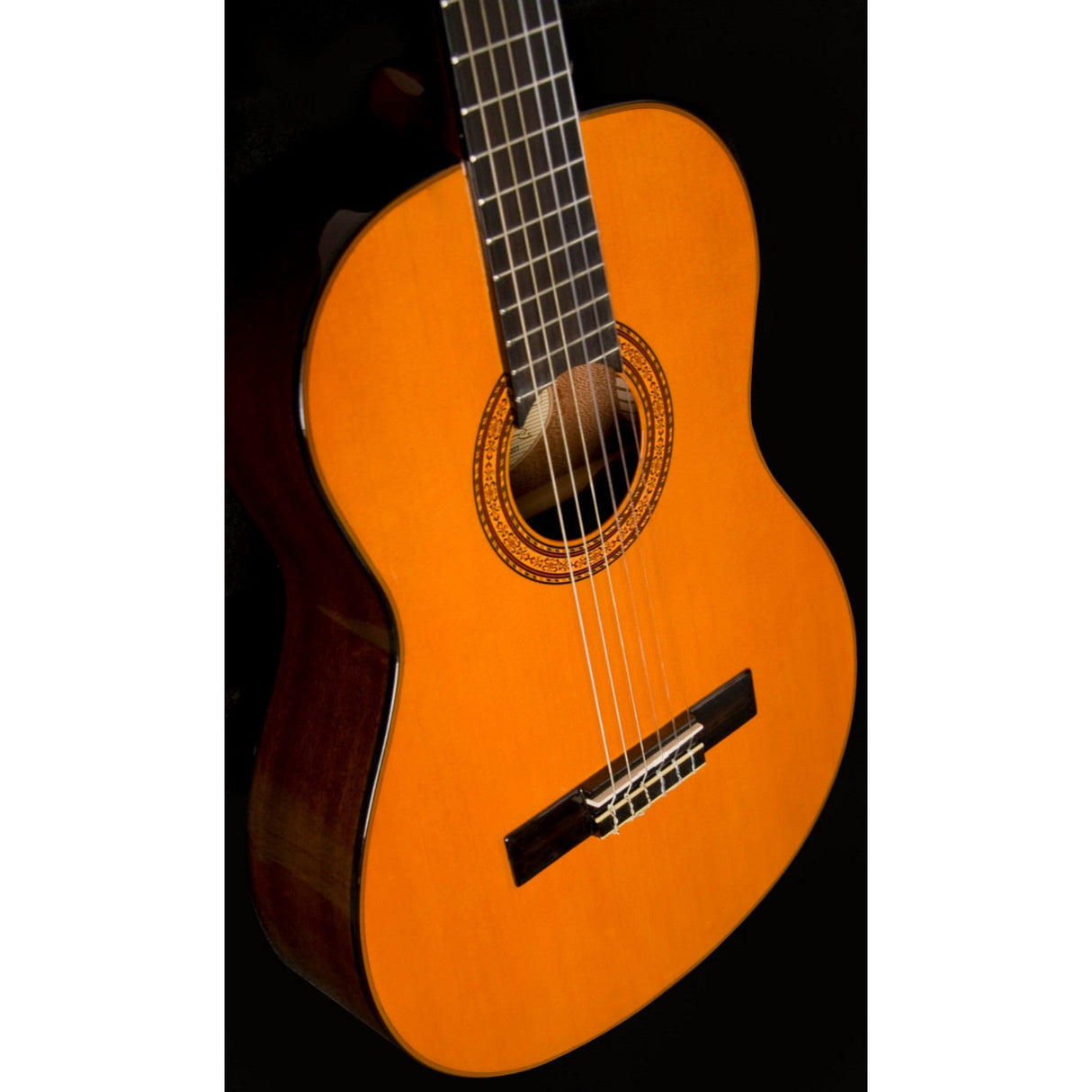 Washburn Classical C5 6-String Nylon Acoustic Guitar