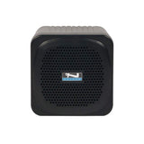 Anchor Audio AN-MINIU2 Portable PA System with Built-In Dual Wireless Microphone Receiver