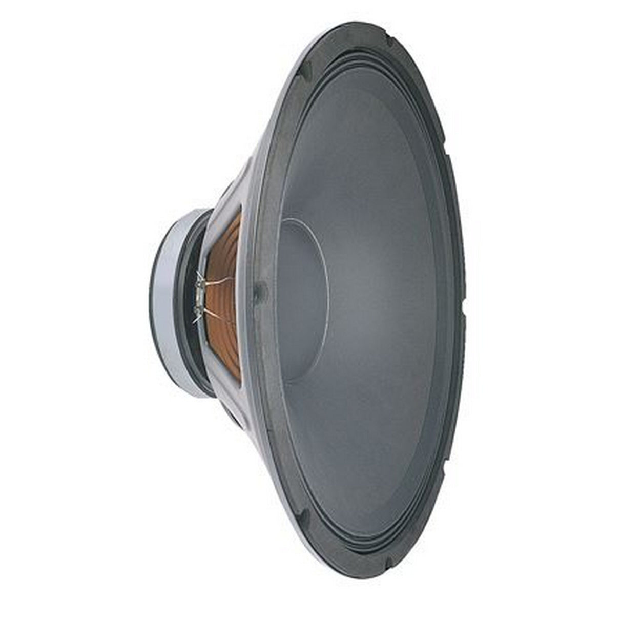 Peavey Pro Series 18 Inch Speaker