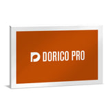 Steinberg Dorico Pro 4 Music Notation and Composition Software Boxed