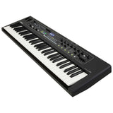 Yamaha CK61 61-Key Stage Keyboard with Built-In Speakers