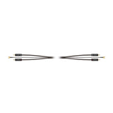 Audio-Technica AT-TC300/1.2 Phono Cable