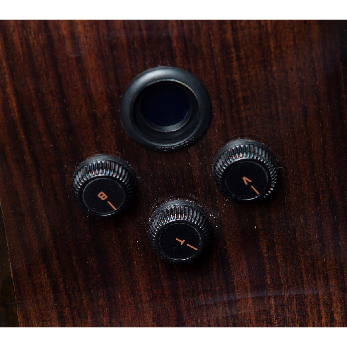 Breedlove Performer Pro Concert Thinline Aged Toner CE Acoustic Electric Guitar, Rosewood Finish