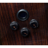 Breedlove Performer Pro Concert Thinline Aged Toner CE Acoustic Electric Guitar, Rosewood Finish