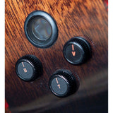 Breedlove Performer Pro Dreadnought Concerto Aged Toner CE European-African Mahogany