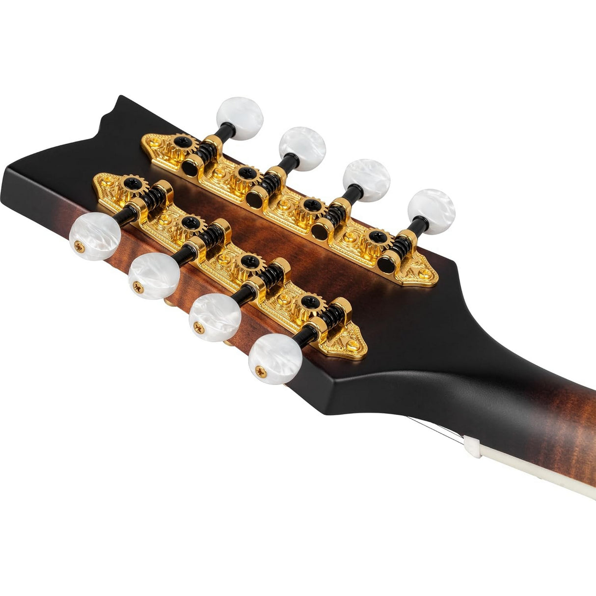 Ortega Guitars RMFE100AVO F Style Mandolin