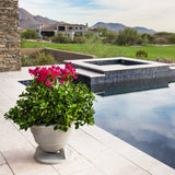 SoundTube OmniPlanter 6.5 Series Omnidirectional Outdoor Planter Speaker