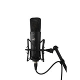 Warm Audio WA-87 R2 FET Condenser Microphone