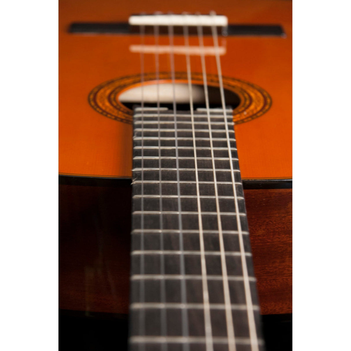 Washburn Classical C5 6-String Nylon Acoustic Guitar