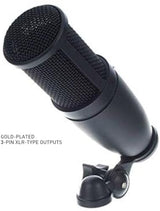 AKG P120 General Purpose Recording Microphone