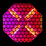 ADJ Vintage X Professional LED Lighting Fixture